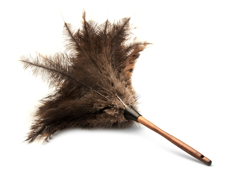 household cleaning carpet cleaning