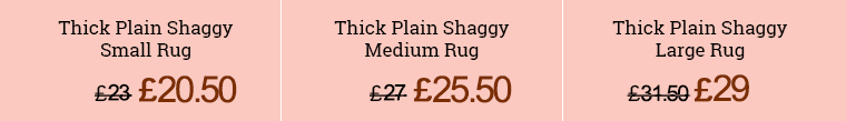 Our Prices for Rug Cleaning in Clapton Start From