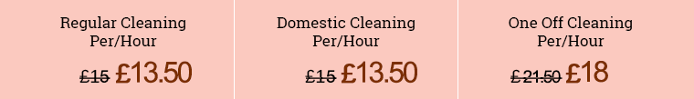 Homerton End of Tenancy Cleaning Services Special Offer